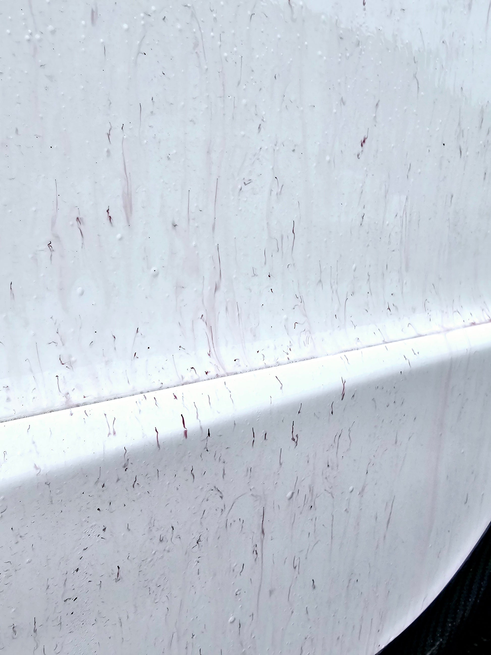 fallout remover, car care