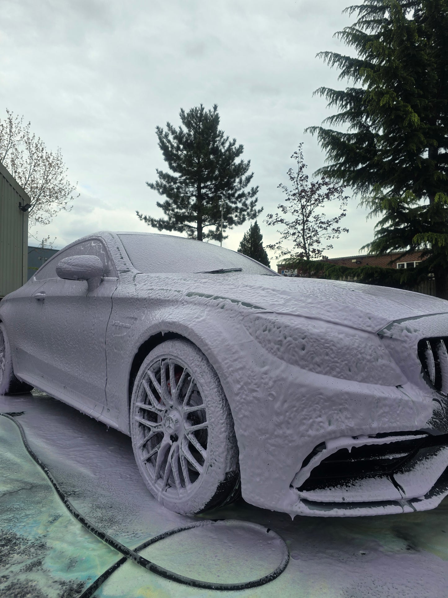 purple snow foam, coloured snow foam, snow foam