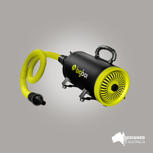 Bigboi BlowR Mini