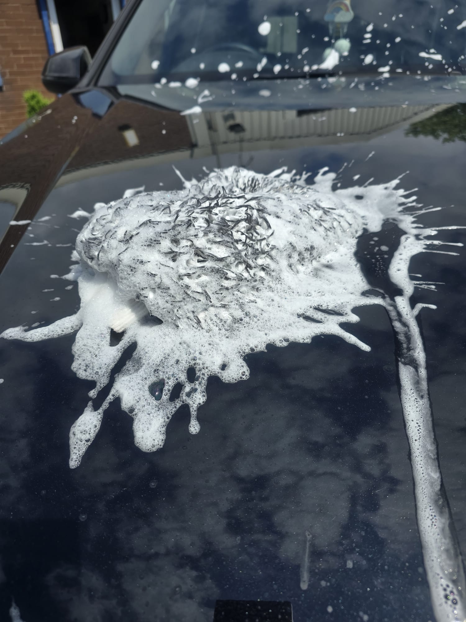 blueberry bubbles shampoo, car shampooo