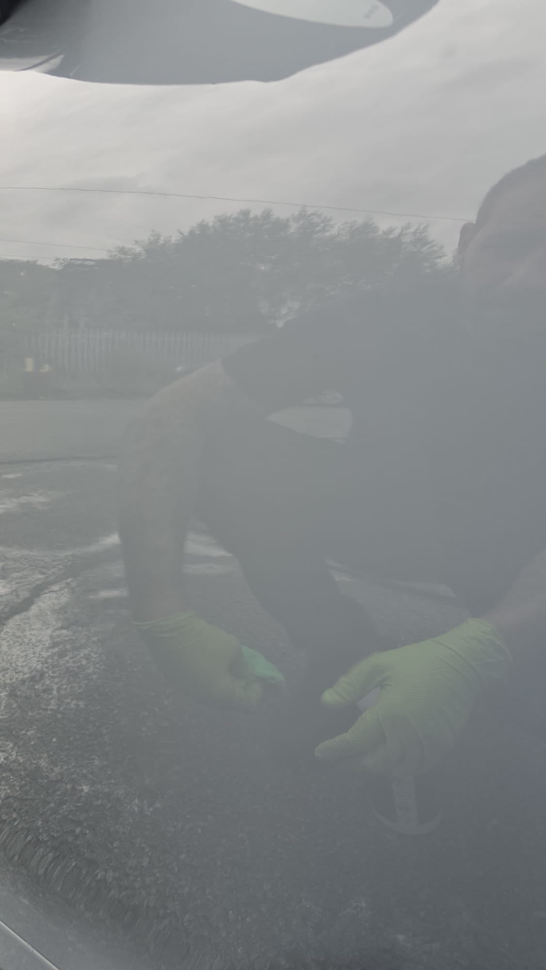 Tar and glue remover